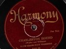 Blue Grass Foot Warmers HARMONY 248 V+ 