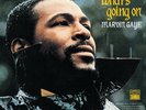 WHAT'S GOING ON [VINYL] [VINYL] MARVIN GAYE NEW VINYL
