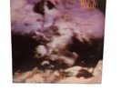 Ministry “The Land of Rape and Honey” 1988 LP Vinyl Record VG+ Sire Records