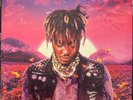 Juice WRLD - Legends Never Die - Black 2LP Vinyl Record - Used