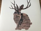 Miike Snow – Happy To You -  RARE 2 LP   VINYL - NEUF