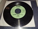 LYNX The Gate 45 RARE UNKNOWN TEXAS GARAGE PSYCH FREAKBEAT HEAR