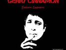 Gerry Cinnamon - Erratic Cinematic (Vinyl)
