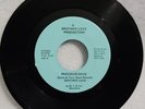 BROTHER LOVE  - PRECIOUS DOVE / BABY PLEASE 45 Vinyl Record - RARE 70's SOUL
