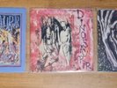 3x Dinosaur JR 7