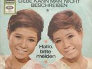 Die Peanuts - LIEBE KANN MAN NICHT BESCHREIBEN / Hallo bitte melden - Vinyl