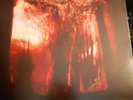 Fields of the nephilim, Nefilim, - Penetration 12