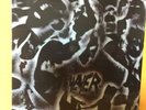 SLAYER undisputed attitude Lp thrash metal SEALED reissue