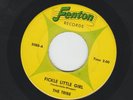 GARAGE ROCKER 45 - the TRIBE -  FICKLE LITTLE GIRL - HEAR - 1966 MICHIGAN FENTON