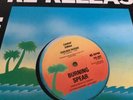 Burning Spear , Civilised Reggae , Social Living   ,  12” Island