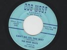 GARAGE - 45- DEAD BEATS - CANT GO ON THIS WAY - HEAR - 1967 FL. RITE  COE WEST