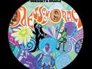 THE ZOMBIES - Odessey & Oracle - PICTURE DISC LP - Free US Shipping