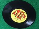 INTERNS HARDY BOYS NOTHING IS IMPOSSIBLE REGGAE 7