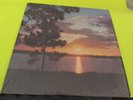 VHTF PRIVATE LP IN SHRINK Frank Palmeri Touching Deep Bhavani Soft Rock EX / EX