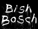 Scott Walker - Bish Bosch - Used Vinyl Record - W132A