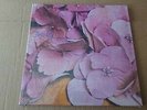 STILL LIFE S/T HARD PROG PROGRESSIVE ROCK AKARMA DELUXE REISSUE 180g GATEFOLD L