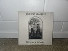 Teens Of Denial by Car Seat Headrest (Record, 2016)