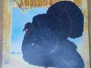 Wild Turkey, Turkey, First Press Vinyl LP, Prog Rock, Signed Gatefold Sleeve.