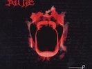 KITTIE-ORACLE-RSD-2022 BLACK FRIDAY