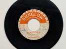 The Sunglows 45 7