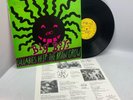 Big Boys Lullabies Help The Brain Grow US 1983 LP Punk Moment Productions VG+