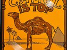 psych kraut prog 7” KROKODIL Camel Is Top  Mp3 Rare Flexi-disc Auravision