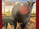 blink-182 - Dude Ranch Vinyl LP - Red