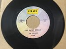 The Nutmegs 1959 DOO WOP 45 My Sweet Dream / My Story  HERALD Orig. Mint- HEAR