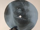 BEATLES GETTING BETTER X-Ray USSR Record Roentgen Bones Ribs Music Vinyl