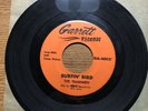 TRASHMEN 45 King Of The Surf / Surfin Bird GARRETT  Orange Label