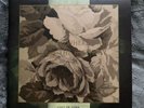 Cult of Luna 2lp, Bossk, Isis, Amenra, Russian Circles, Old Man Gloom