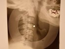 Elvis Presley - I Got Stung  X-RAY SKULL BONES RECORDS USSR 219