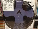 SYSTEM OF A DOWN Steal This Album  **RARE 2002 USA 2x VINYL PICTURE DISC** VG