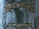 BON JOVI NEW JERSEY DOUBLE HEAVYWEIGHT DELUXE GATEFOLD VINYL MINT LAY YOUR HANDS