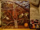 DRAGONFLY LP/1969 US Heavy Fuzz Psych/Plastic Cloud/Savage Resurrection/Cream