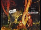 Echo and the Bunnymen Crocodiles new audiophile 180-gram LP TAS Rhino