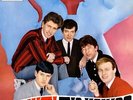 The Hollies - Stay With The Hollies (LP, Album, Mono)