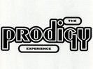 THE PRODIGY EXPERIENCE NEW SEALED VINYL 2LP IN STOCK