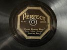 SYNCO JAZZ BAND Clover Blossom Blues/Chicago PERFECT 14043 E- pre-war 1922 Hot