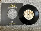 The Sex Pistols God Save the Queen A&M repro Black Vinyl Record Correct Sleeve