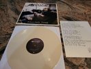 Bayside - Killing Time. First Pressing. Cream Vinyl. Hot Topic Exclusive. Lyrics