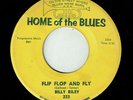 BILLY RILEY * Flip Flop And Fly * HOME... US Orig. Rock'n'Roll Rockabilly * MP3