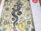 Steve Earle – I Feel Alright Vinyl Lp