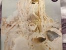 Pale Saints In Ribbons Vinyl LP + 7 inch