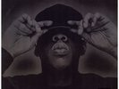Jay-Z - The Black Album '03 2xLP US ORG EX+/EX