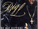 Big L - The Big Picture (1974 - 1999) '00 2xLP US ORG EX+/EX+ W/S
