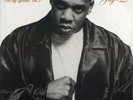 Jay-Z - In My Lifetime, Vol. 1 '97 2xLP US ORG NM-/NM W/S