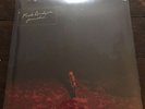 Phoebe Bridgers - Punisher Vinyl Record & PRINT Green/Black /450 - Very Rare
