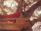 BACKSEAT LOVERS, The - Waiting To Spill - Vinyl (LP)