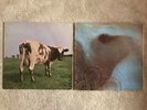 2 LPs Pink Floyd Meddle / Atom Heart Mother, hier mehr Vinyl, bitte lesen